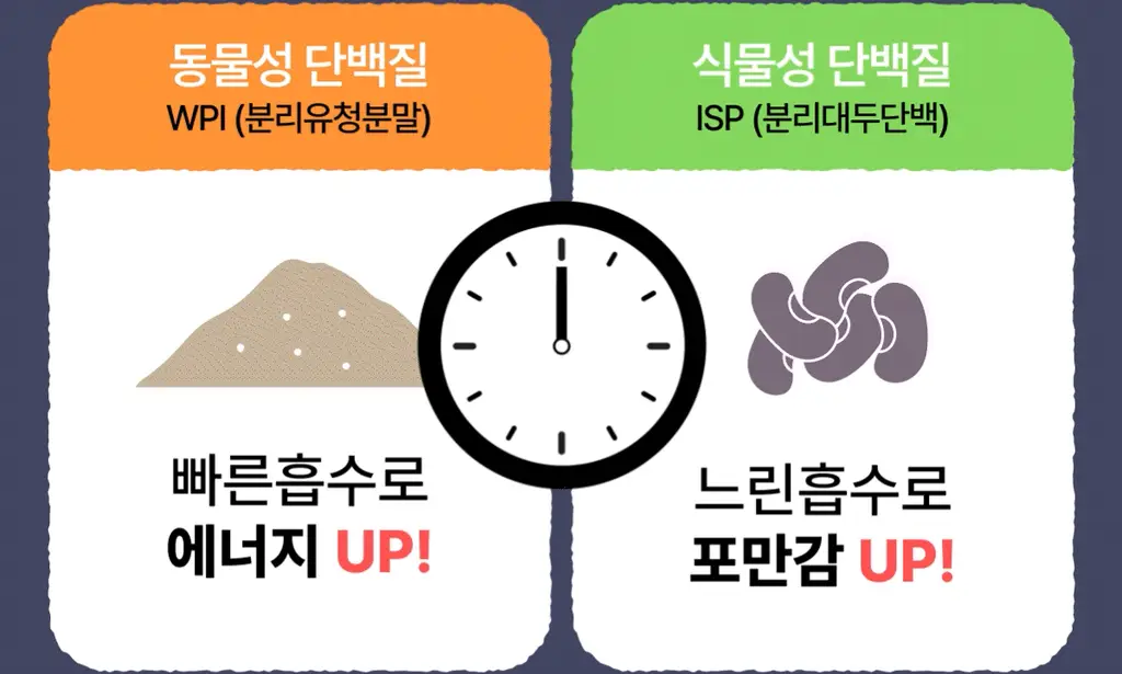 [홍진경 PICK] 리앤핏 단백질쉐이크 45g 5종 택1 상세페이지 26